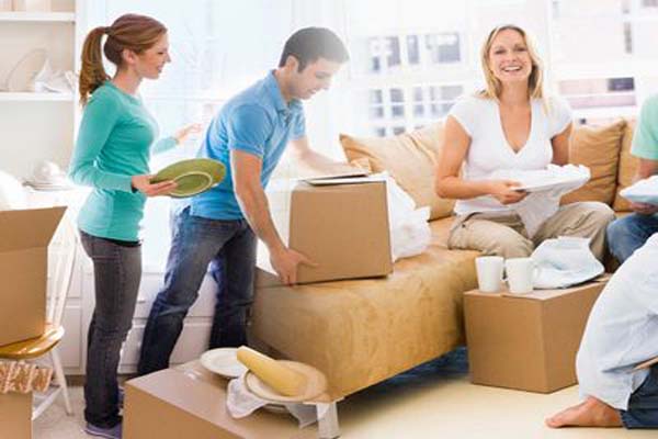 Domestic Packer Mover
